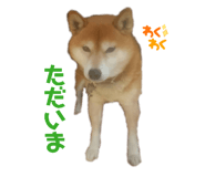 842539506