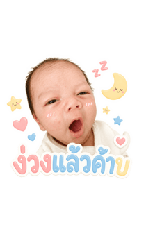 842544428