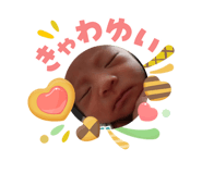 842544988