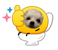 842545258