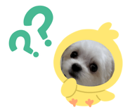842545259