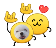 842545260