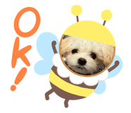842545261