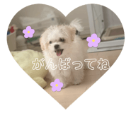 842545266