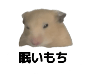 842545274