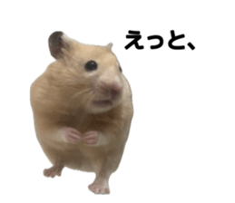 842545279