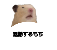 842545281