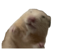 842545282