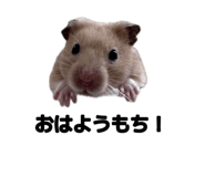 842545285