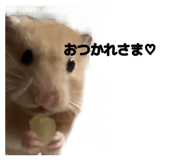 842545293