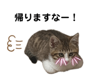 842545318