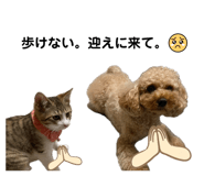 842545320