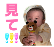 842545549