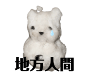 842545588