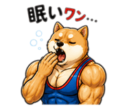 842546011