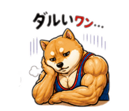 842546014