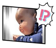 842546045