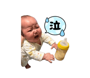 842546051