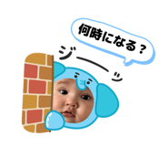 842549464