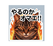 842549617