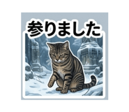 842549620