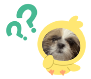 842549996