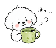 842550024