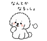 842550025