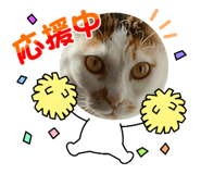 842550306