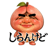 842550426