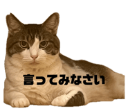 842550544