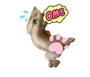 842550561