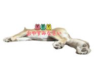 842550563