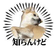 842550565
