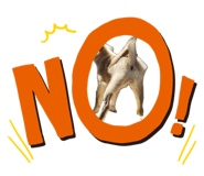 842550567