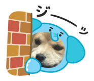 842550570