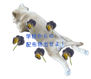 842550572