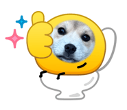 842550581