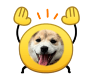 842550583
