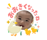 842550661