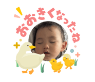 842550686