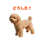 842550694
