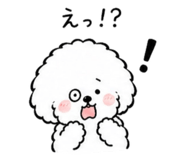 842550737