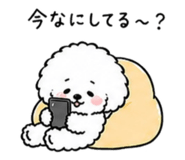 842550740