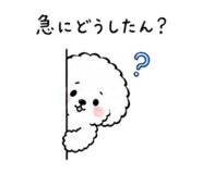 842550746