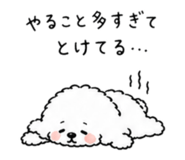 842550766