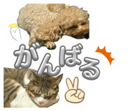842551189