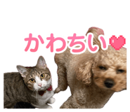 842551200