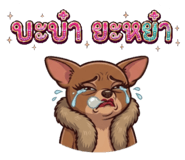 842551436