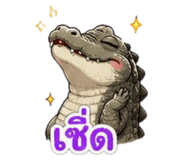 842551925